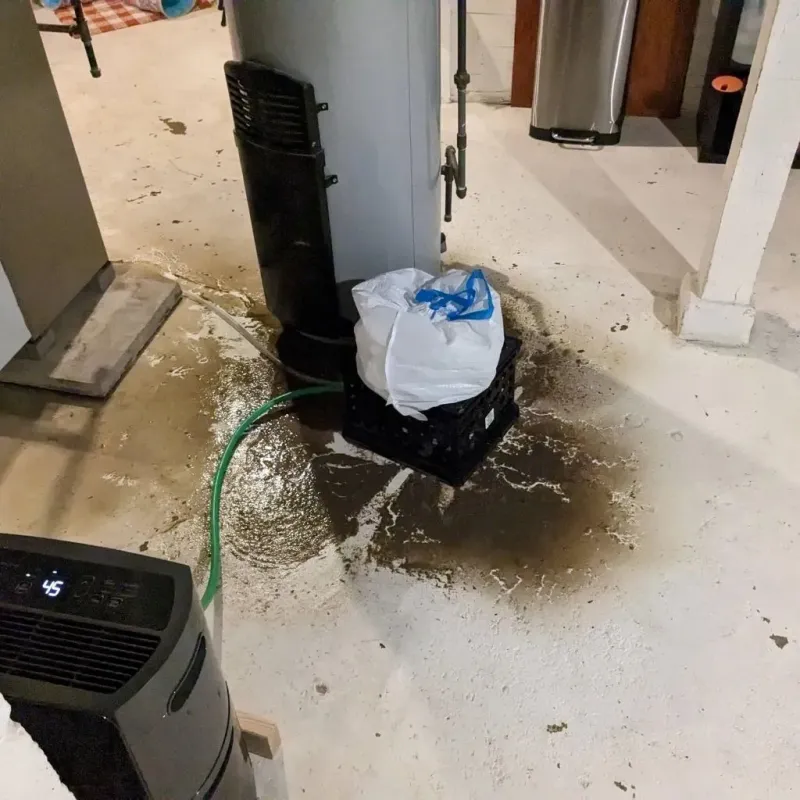 Sewage Backup Cleanup Service in Leeds, AL
